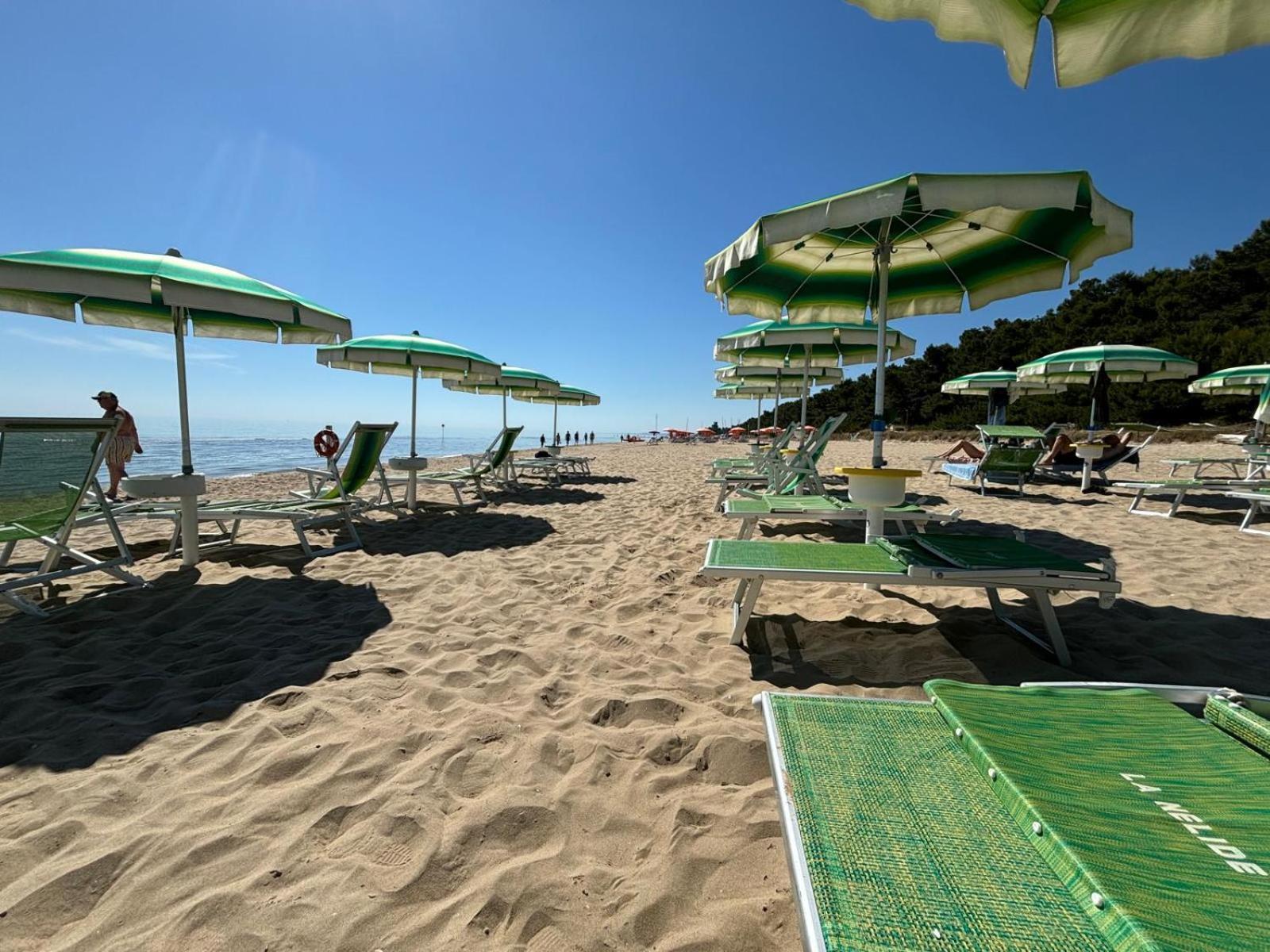Loft 3, A 150 M Dal Mare, Pineto Centro Apartment Luaran gambar